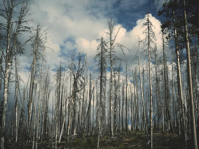 换区后商店刷新<br>App Store内容同步教程